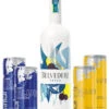 Belvedere & Red Bull Summer Bundle 2,02 Liter 2 Belvedere & Red Bull Summer Bundle 2,02 Liter -Weinladen Belvedere Red Bull Summer Package