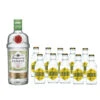 Zitroniges Gin Tonic Set 2,7 Liter -Weinladen Rangpur Goldberg Set