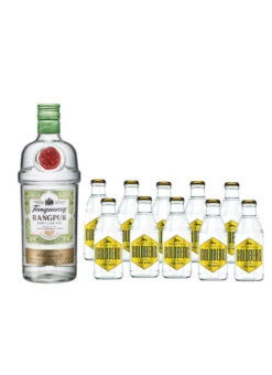 Zitroniges Gin Tonic Set 2,7 Liter