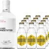 Berliner Brandstifter Gin 0,7 Liter Mit 12x Goldberg Tonic Water 0,2 Liter 1 Berliner Brandstifter Gin 0,7 Liter Mit 12x Goldberg Tonic Water 0,2 Liter -Weinladen berliner brandstifter gin 0 7l mit 12x goldberg tonic water 0 2l bw41495