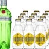 Tanqueray No. 10 Gin 0,7 Liter Mit 12x Goldberg Tonic Water 0,2 Liter -Weinladen eworld de media image 05 3f 69 tanqueray 10 gin 0 7l mit 12x goldberg tonic water 0 2l 347 25756 jpg