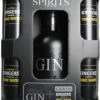 Gansloser Gin & Kingers Tonic Set 1,7 Liter -Weinladen gansloser gin amp kingers tonic set 24439 28868