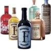 Gin Bundle 6 Flaschen 3,6 Liter -Weinladen https dev bottleworld de media image 96 b3 14 gin in a box 30489 11739 jpg